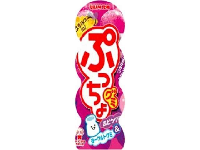 味覚糖 ぷっちょグミぶどう容器