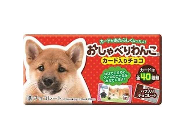 Chatty Doggy Puffed Chocolate Bar 1 Piece