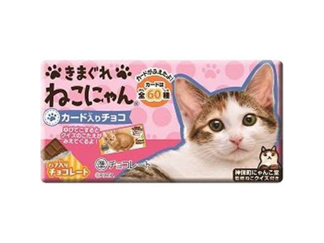 正栄 きまぐれねこにゃん