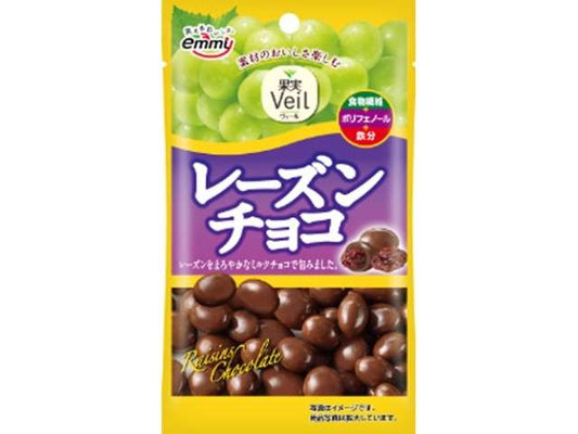 正栄 レーズンチョコ