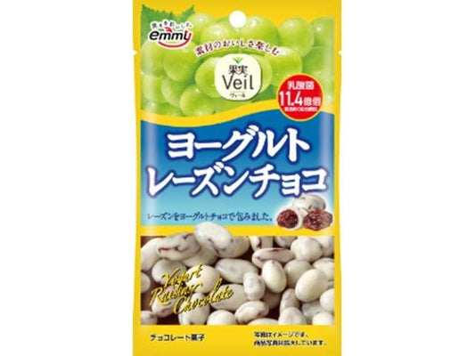 正栄 ヨーグルトレーズンチョコ