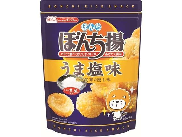 BonChi Bonchi Age Savory Salt Flavor Resealable Bag 85g