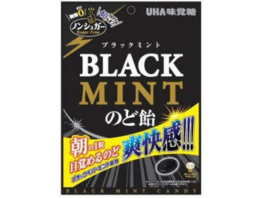 味覚糖 ＮＳブラックミントのど飴