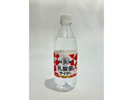 友桝　乳酸菌入りサイダー